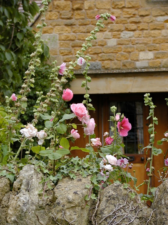 Stanton Cottage