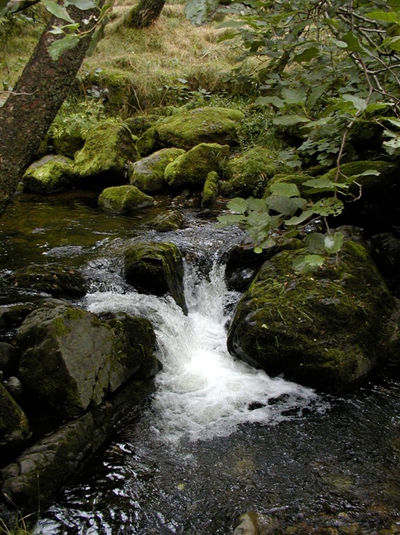 Near Aira Force, Ullswater